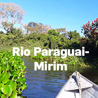 blog-thumb2