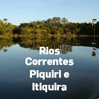 blog-thumb3