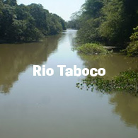 blog-thumb5