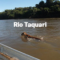 blog-thumb6